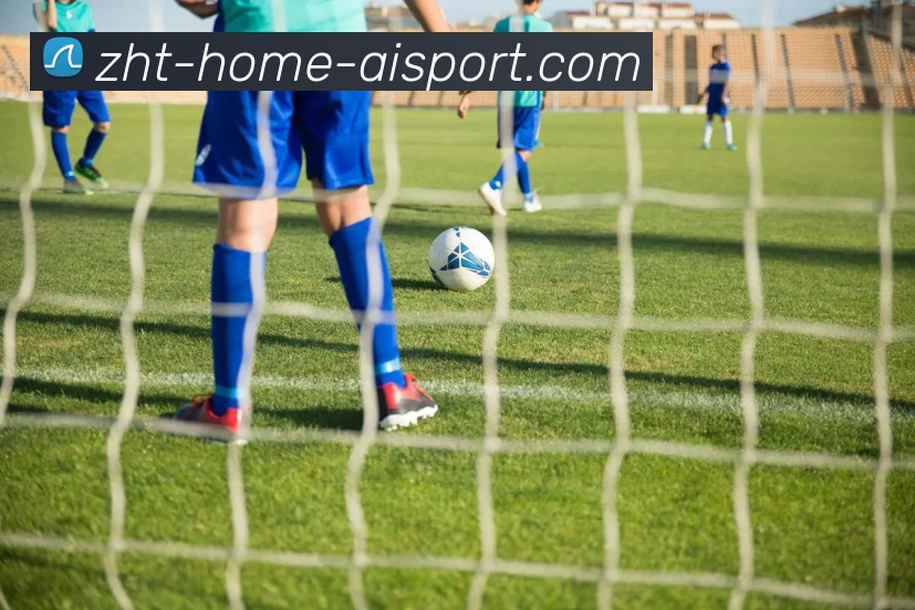 爱体育服务体系